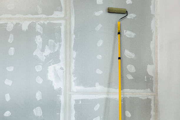 Biohazard Mold Removal in Avalon, PA