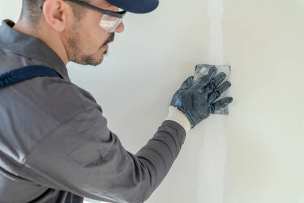 Best Commercial Mold Inspection  in Avalon, PA